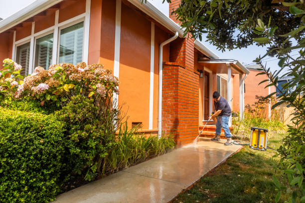 Best Deck Pressure Washing  in Fruitvale, CO